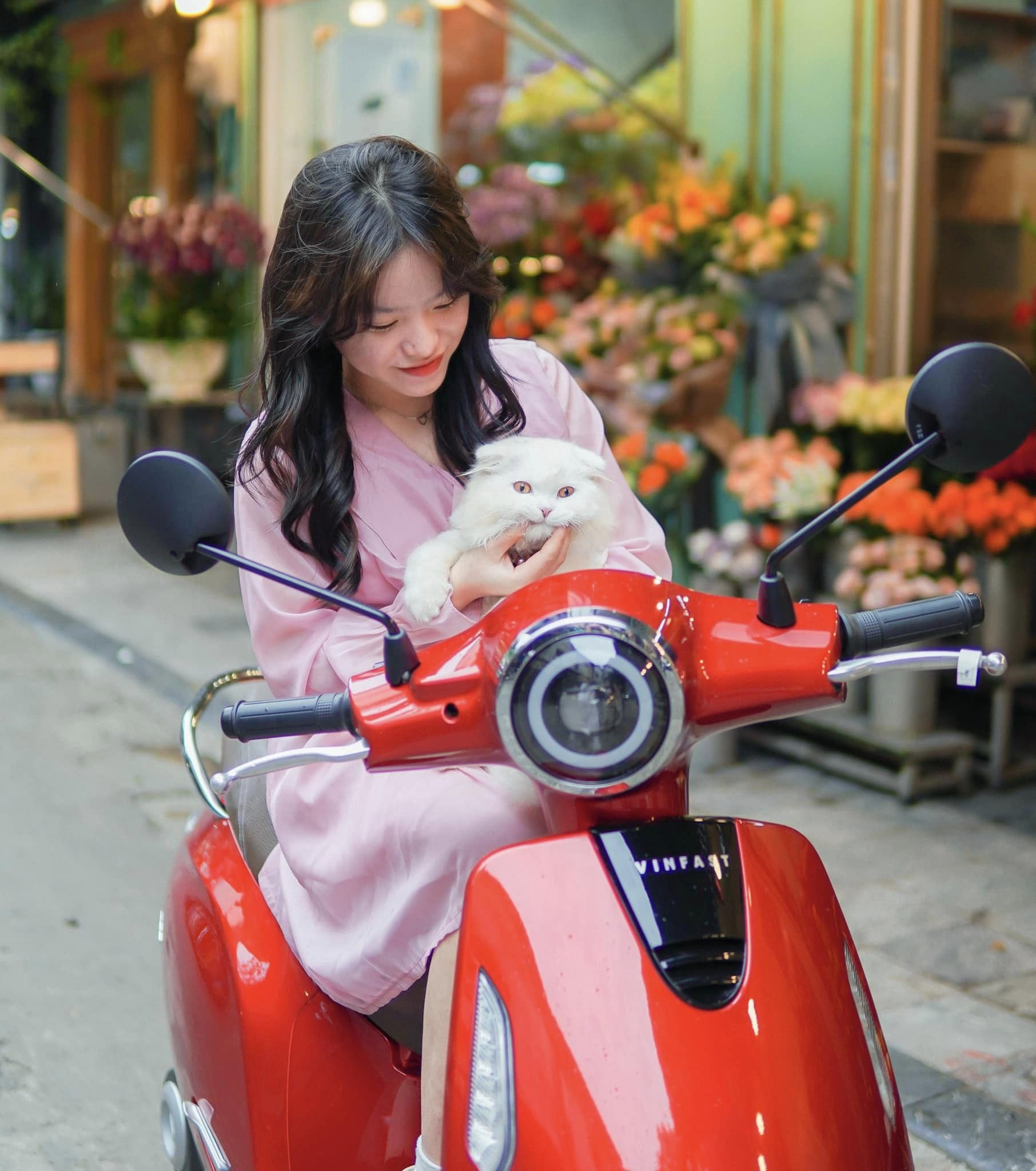 Muốn Trải Nghiệm Xe Điện "Đỉnh Của Chóp"? Đừng Bỏ Qua VinFast Evo 200!