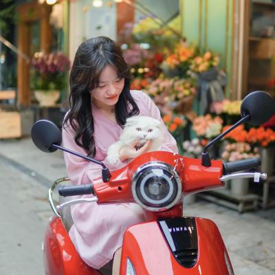Muốn Trải Nghiệm Xe Điện "Đỉnh Của Chóp"? Đừng Bỏ Qua VinFast Evo 200!