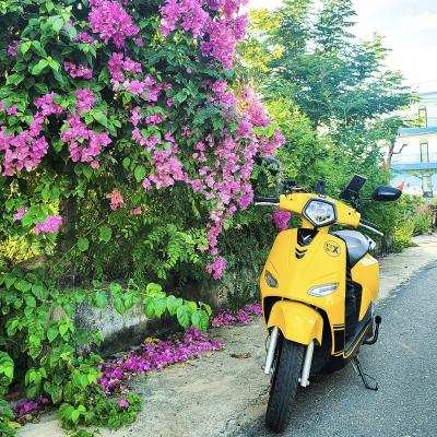 "Đấu Trường" VinFast: Vento Neo vs Vento S - Bạn Chọn Xe Điện?