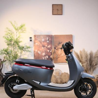 Vì Sao Nhiều Mẫu Xe Điện Vẫn Dùng Ắc Quy Thay Vì Chuyển Hoàn Toàn Sang Pin?